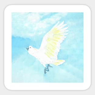 watercolor flying sulphur crested cockatoo Sticker